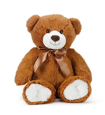 Honey Bear LARGE